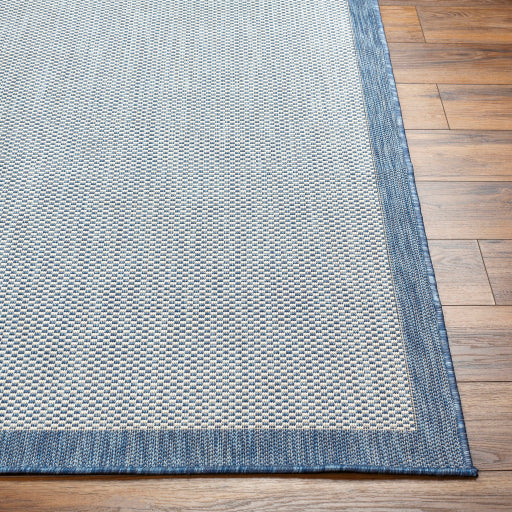 Surya Ravello RVL-2389 Denim Modern  Rug