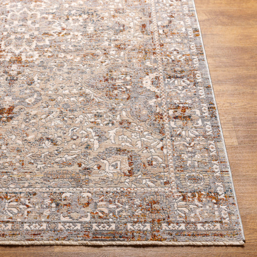 Surya Arya RYA-2301 Medium Gray Traditional  Rug