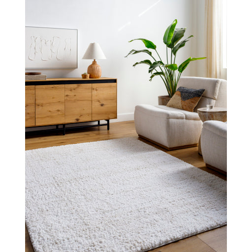 Surya Sacramento Shag SCS-2300 White Modern  Rug