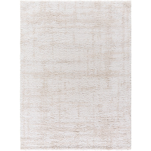 Surya Sacramento Shag SCS-2300 White Modern  Rug