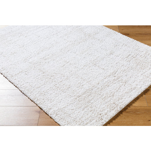 Surya Sacramento Shag SCS-2300 White Modern  Rug