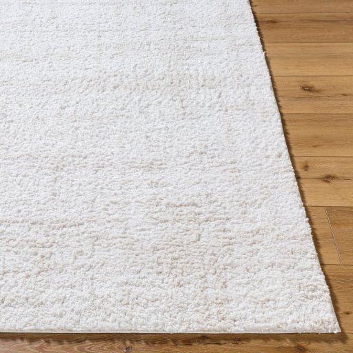 Surya Sacramento Shag SCS-2300 White Modern  Rug