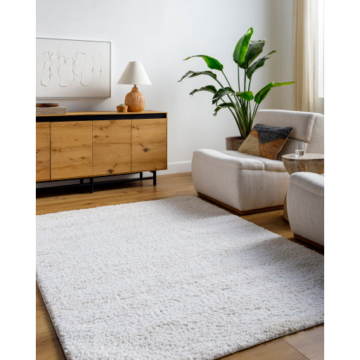 Surya Sacramento Shag SCS-2301 White Modern  Rug