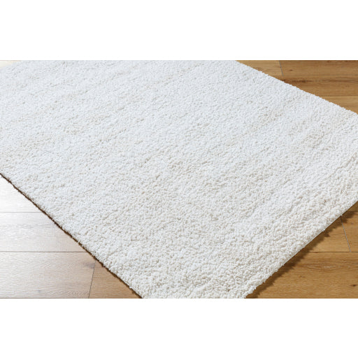 Surya Sacramento Shag SCS-2301 White Modern  Rug