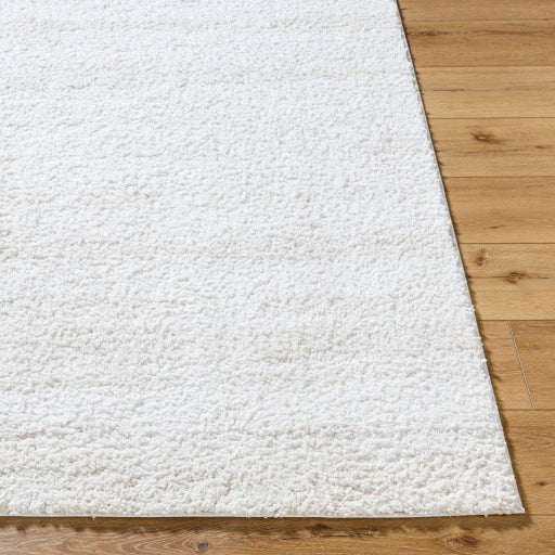 Surya Sacramento Shag SCS-2301 White Modern  Rug