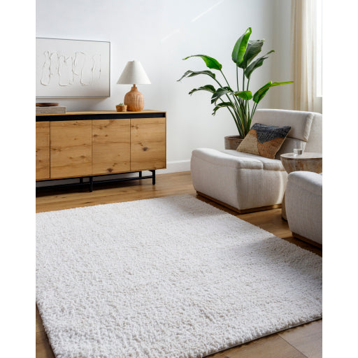 Surya Sacramento Shag SCS-2302 White Modern  Rug