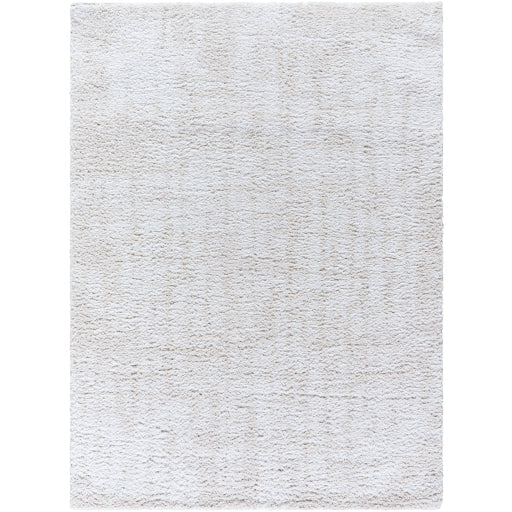 Surya Sacramento Shag SCS-2302 White Modern  Rug