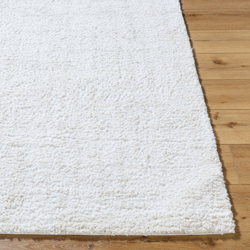 Surya Sacramento Shag SCS-2302 White Modern  Rug