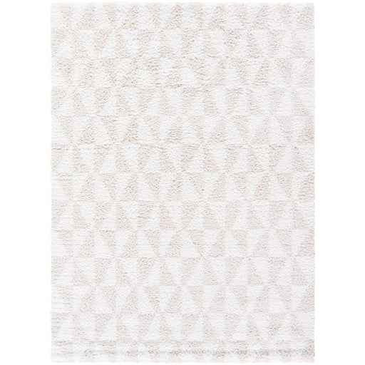 Surya Sacramento Shag SCS-2303 White Modern  Rug