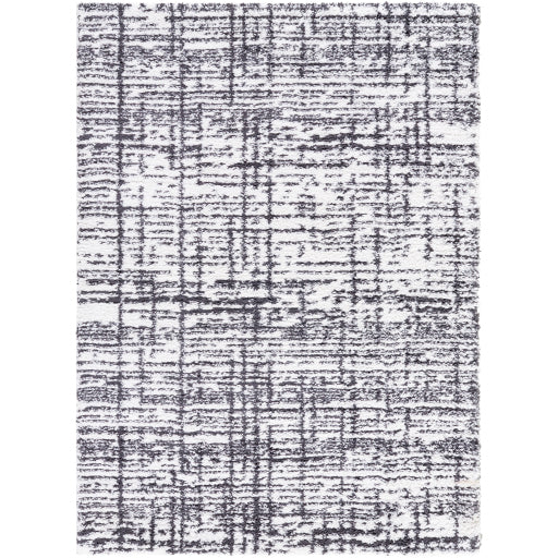 Surya Sacramento Shag SCS-2304 White Modern  Rug