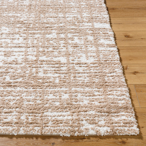 Surya Sacramento Shag SCS-2305 White Modern  Rug