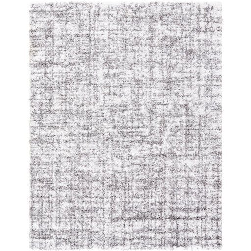 Surya Sacramento Shag SCS-2306 White Modern  Rug