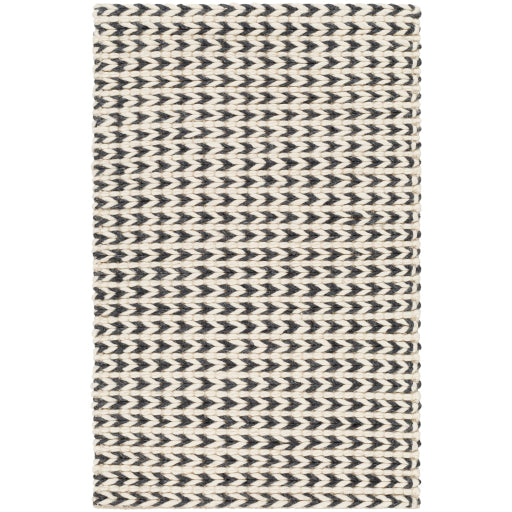 Surya Sundance SDC-2301 Ivory Modern  Rug