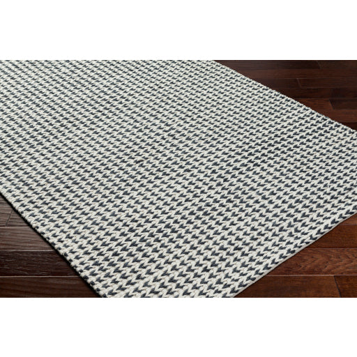 Surya Sundance SDC-2301 Ivory Modern  Rug