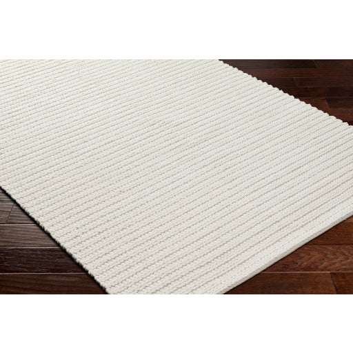 Surya Sundance SDC-2302 Ivory Modern  Rug