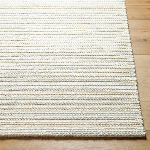 Surya Sundance SDC-2302 Ivory Modern  Rug