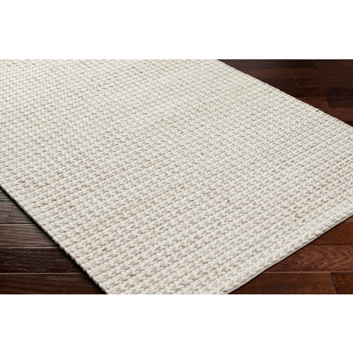 Surya Sundance SDC-2303 Ivory Modern  Rug