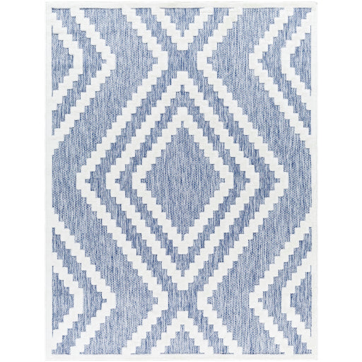 Surya San Diego SFG-2300 Dark Blue Modern  Rug