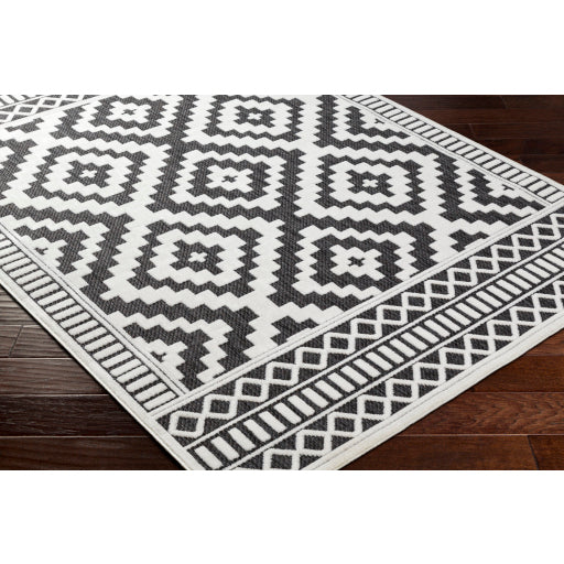 Surya San Diego SFG-2301 Off-White Modern  Rug