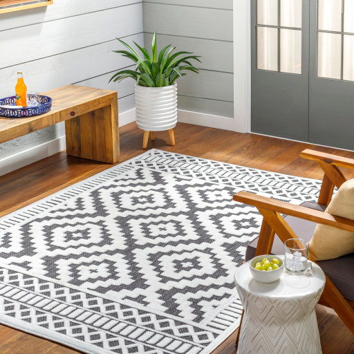 Surya San Diego SFG-2301 Off-White Modern  Rug