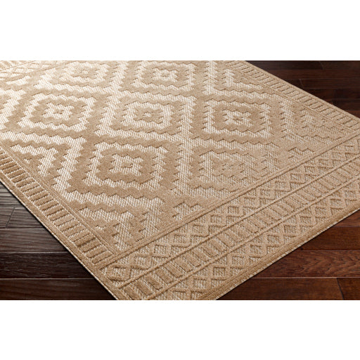 Surya San Diego SFG-2302 Light Brown Modern  Rug