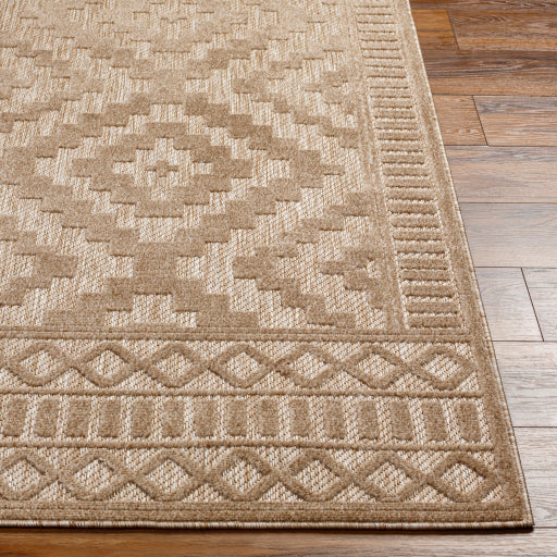 Surya San Diego SFG-2302 Light Brown Modern  Rug