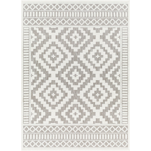 Surya San Diego SFG-2306 Gray Modern  Rug