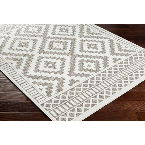 Surya San Diego SFG-2306 Gray Modern  Rug