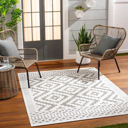 Surya San Diego SFG-2306 Gray Modern  Rug