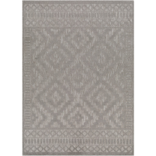 Surya San Diego SFG-2307 Gray Modern  Rug