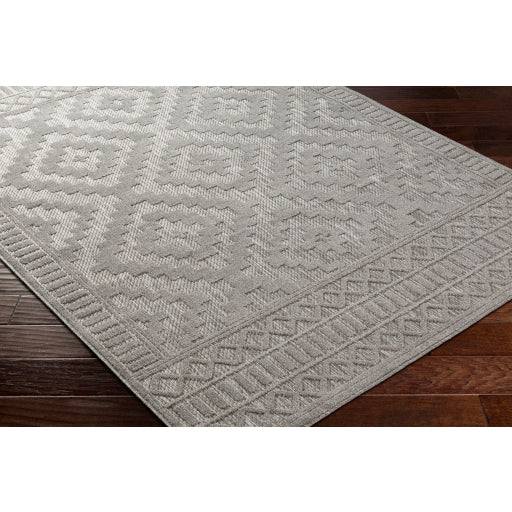 Surya San Diego SFG-2307 Gray Modern  Rug