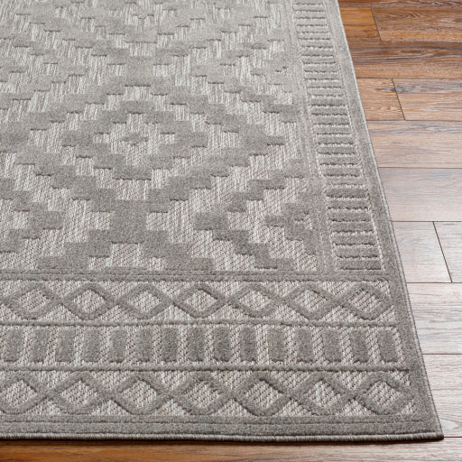 Surya San Diego SFG-2307 Gray Modern  Rug