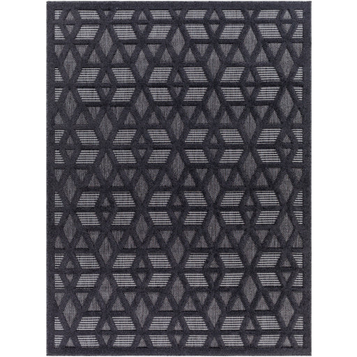 Surya San Diego SFG-2308 Black Modern  Rug