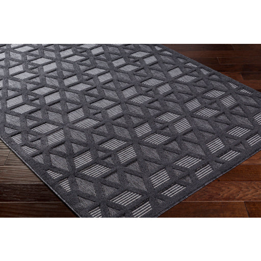 Surya San Diego SFG-2308 Black Modern  Rug