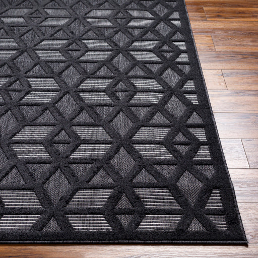 Surya San Diego SFG-2308 Black Modern  Rug