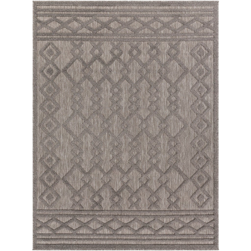 Surya San Diego SFG-2310 Gray Modern  Rug