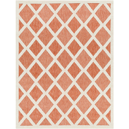 Surya San Diego SFG-2316 Rust Modern  Rug