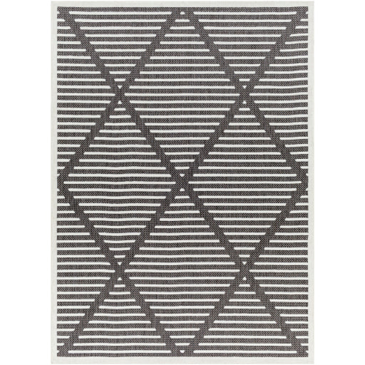 Surya San Diego SFG-2317 Black Modern  Rug