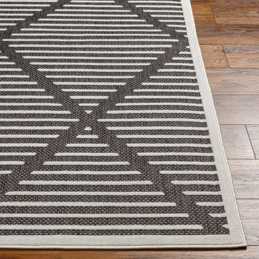 Surya San Diego SFG-2317 Black Modern  Rug