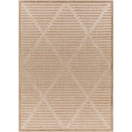 Surya San Diego SFG-2318 Light Brown Modern  Rug