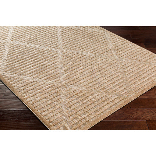 Surya San Diego SFG-2318 Light Brown Modern  Rug