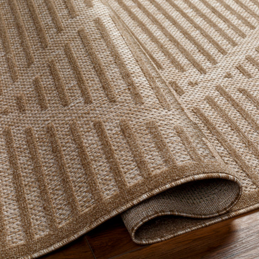 Surya San Diego SFG-2318 Light Brown Modern  Rug