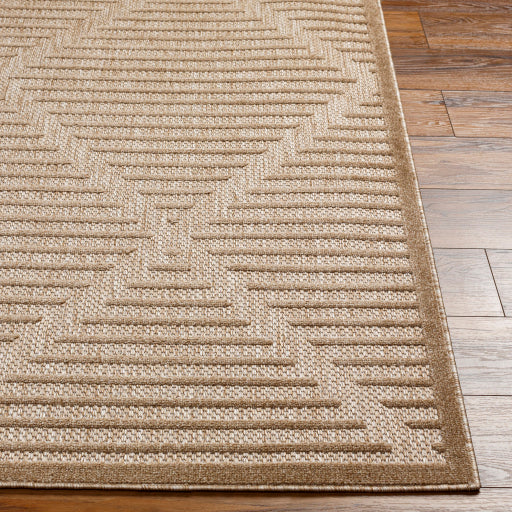 Surya San Diego SFG-2318 Light Brown Modern  Rug