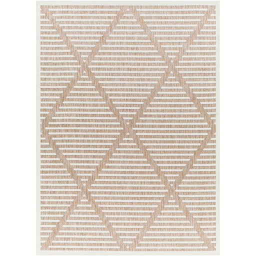 Surya San Diego SFG-2319 Brown Modern  Rug