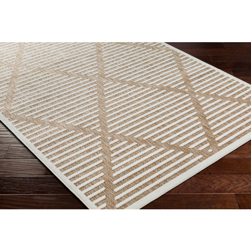 Surya San Diego SFG-2319 Brown Modern  Rug