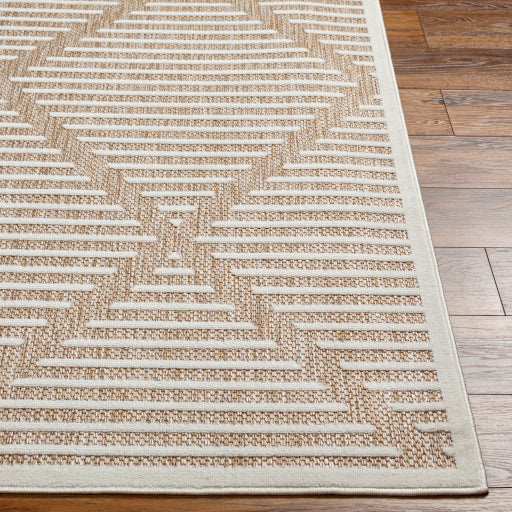 Surya San Diego SFG-2319 Brown Modern  Rug