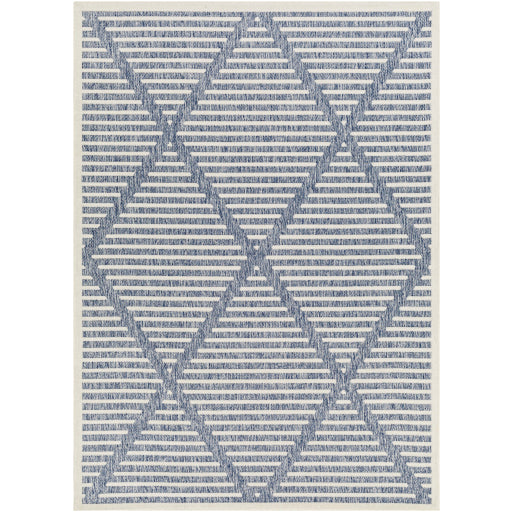 Surya San Diego SFG-2320 Dark Blue Modern  Rug