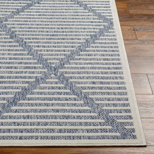 Surya San Diego SFG-2320 Dark Blue Modern  Rug