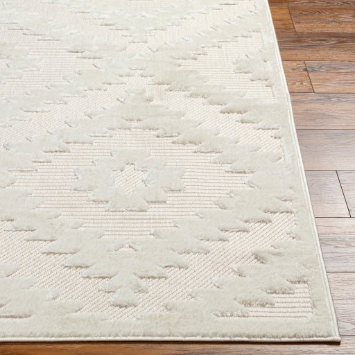 Surya San Diego SFG-2321 Off-White Modern  Rug