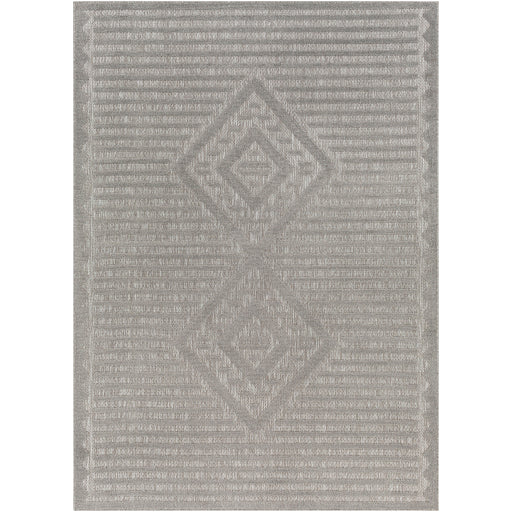 Surya San Diego SFG-2325 Gray Modern  Rug